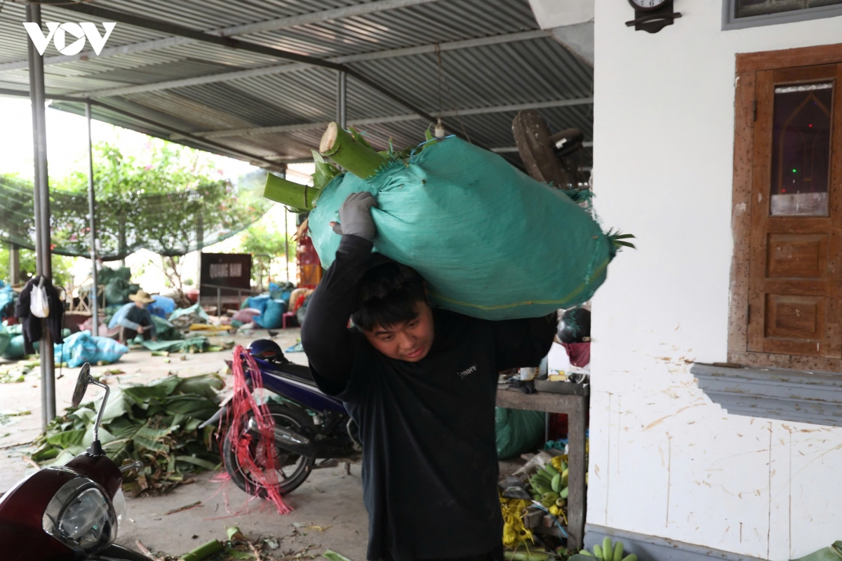 cho chuoi suoi cat moi nam mot phien, buong chuoi dep gia tien trieu hinh anh 4