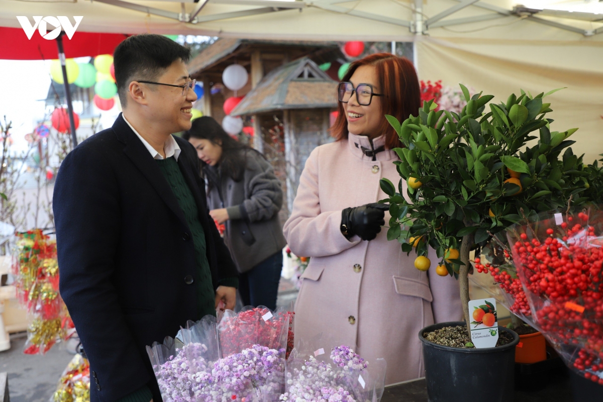 giu hon tet viet giua long chau Au hinh anh 1