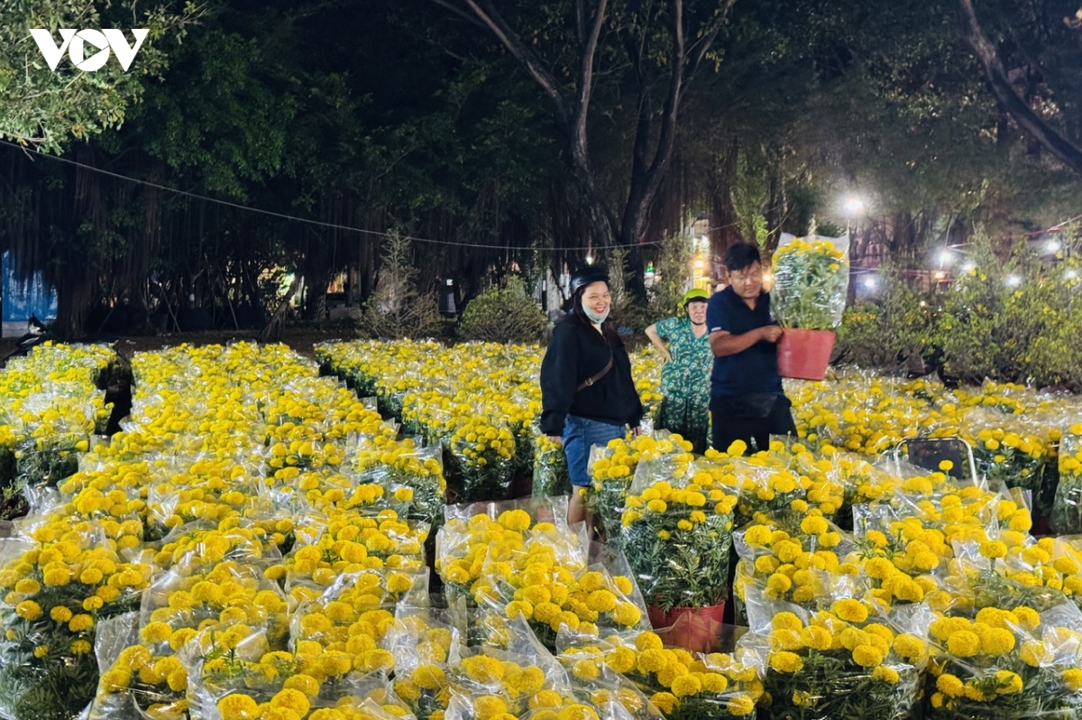 nhon nhip cho hoa, diem du xuan o khu Dong cua tphcm hinh anh 1