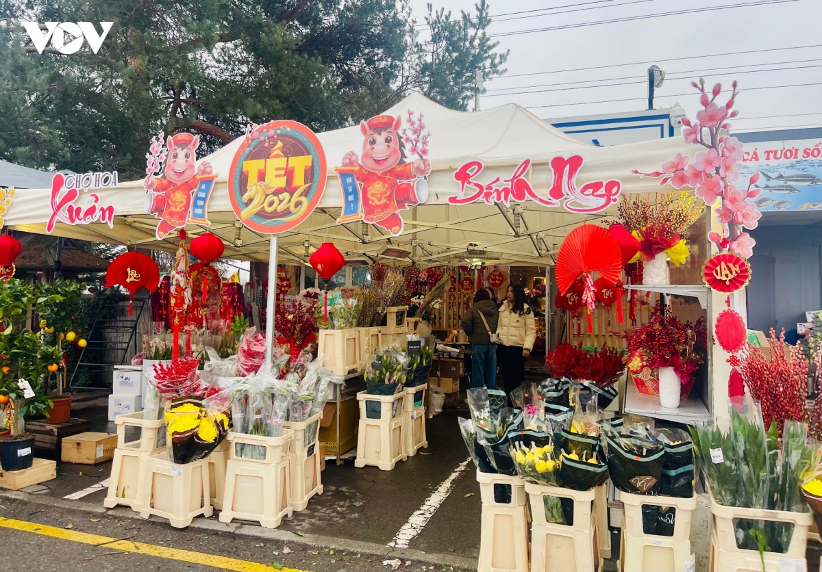 giu hon tet viet giua long chau Au hinh anh 2