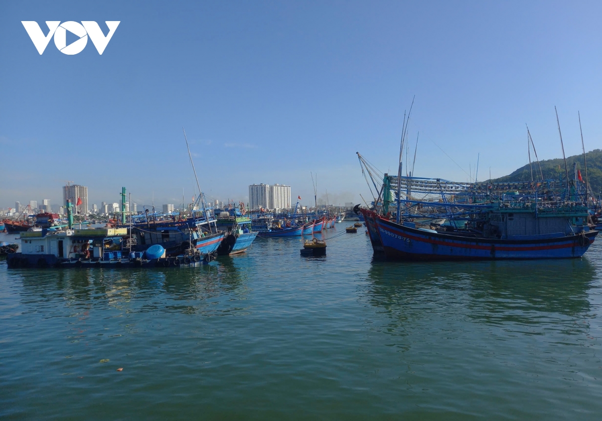 Xuân trên biển Khánh Hòa: Rộn ràng mùa ra khơi bám biển Trường Sa