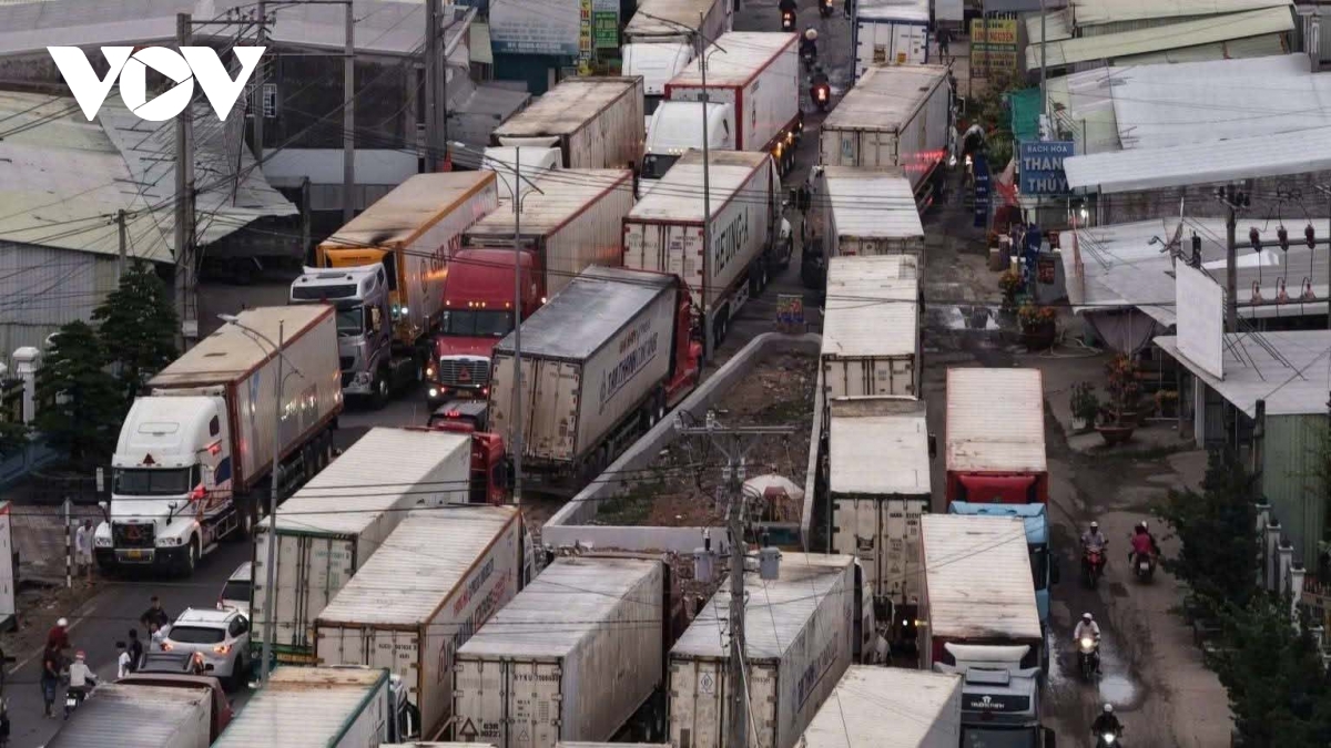 Container dừng đậu test trái cây gây ùn tắc giao thông kéo dài tại Đồng Tháp
