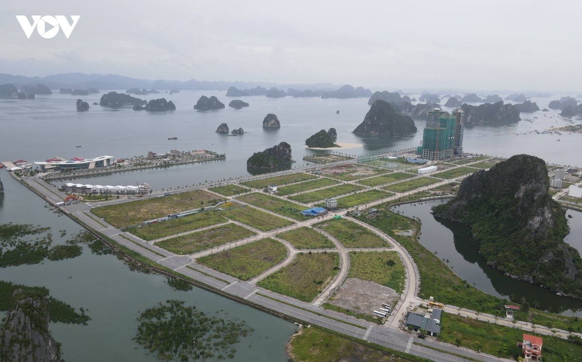 xuan moi o dac khu van Don, quang ninh hinh anh 1