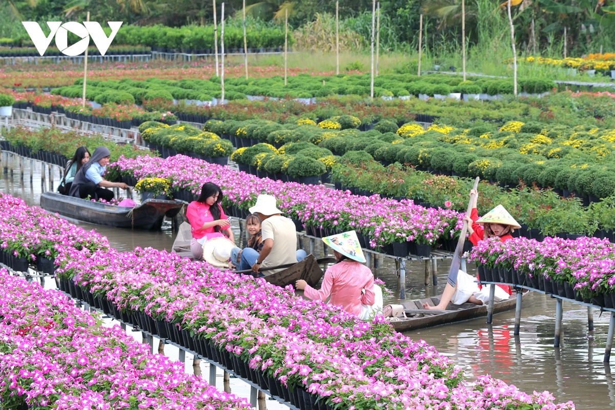 Sa Đéc - tình đất nở hoa, tình người khởi sắc