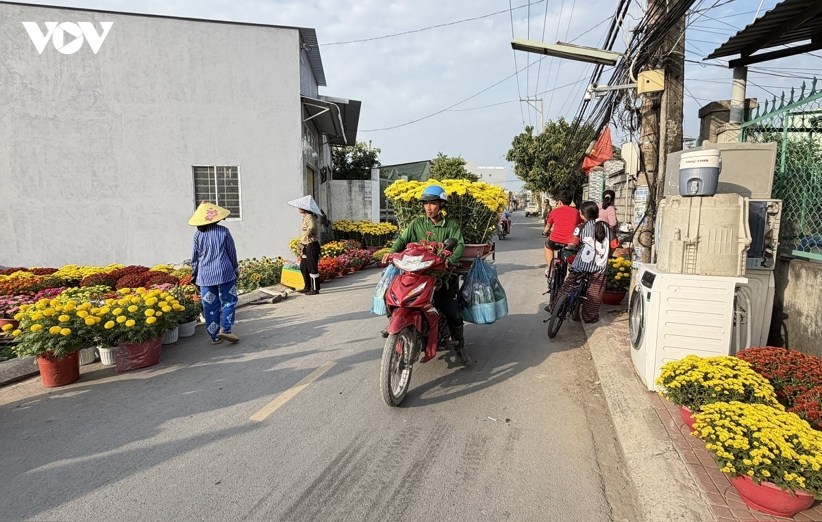 nguoi trong, kinh doanh hoa kieng can tho ky vong suc mua tang manh can tet hinh anh 2