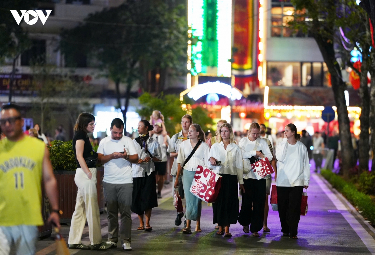 ha noi ruc ro phao hoa mung nam moi binh ngo 2026 hinh anh 18