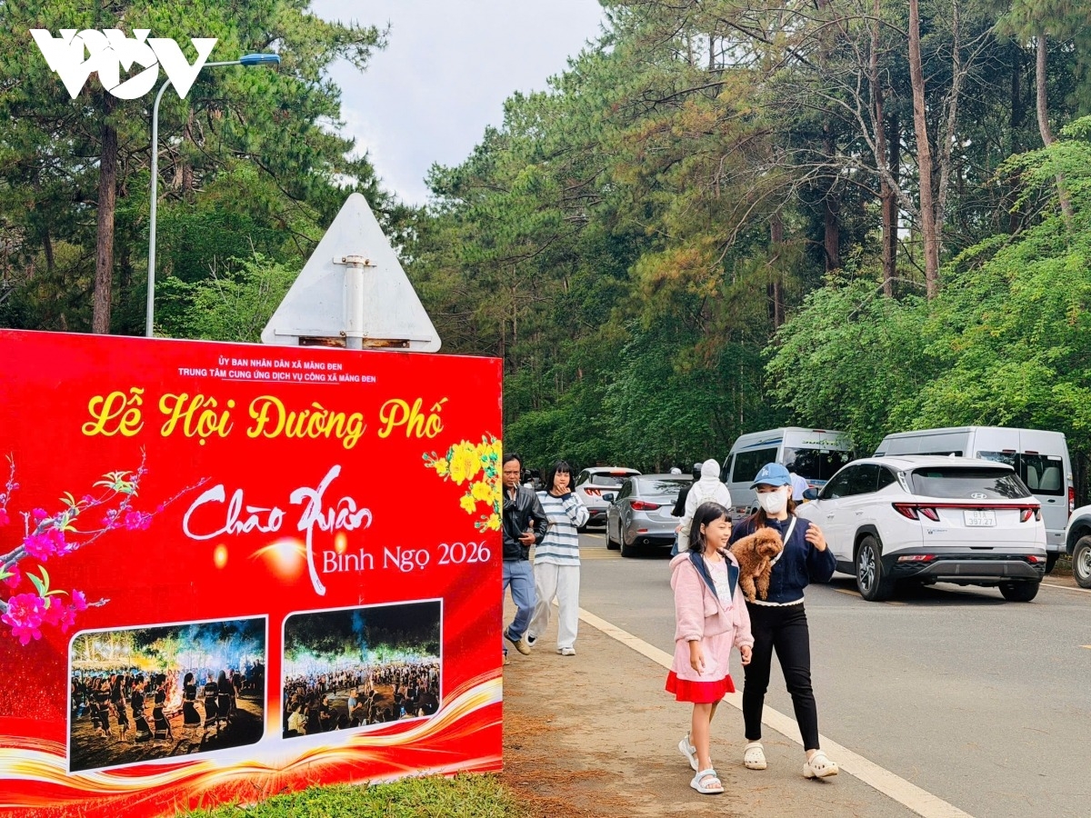luong khach tang vot tai nhieu diem den du lich dip tet hinh anh 4