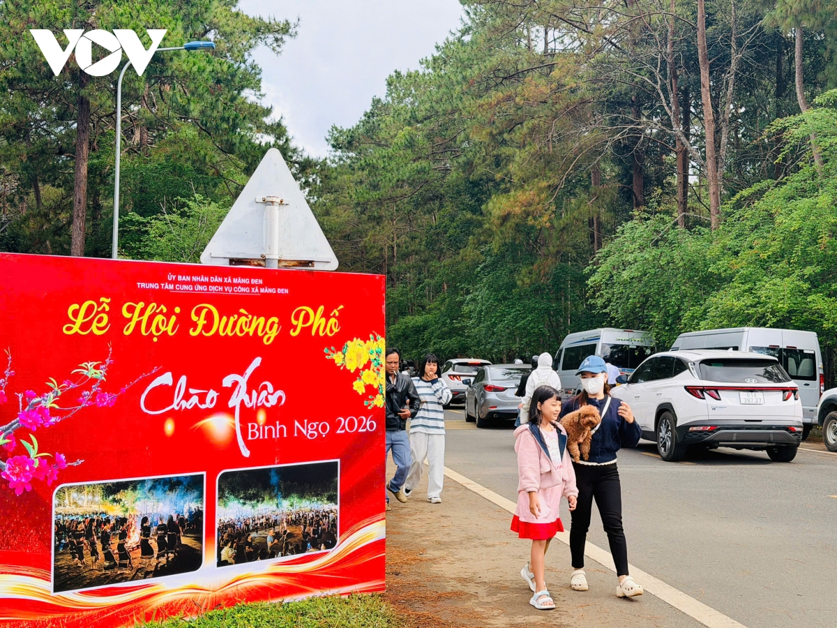 tung bung le hoi duong pho Am vang mang Den sang mung 3 tet hinh anh 11