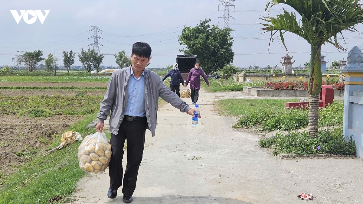 khoai tay vua do da het , nong dan ninh binh phan khoi hinh anh 10