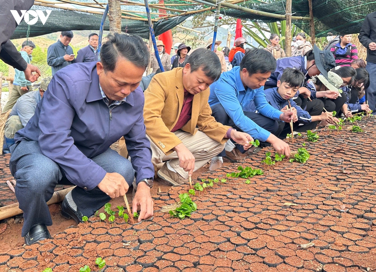 ra quan dau nam gan voi ho tro sinh ke cho dong bao dan toc thieu so o quang ngai hinh anh 2