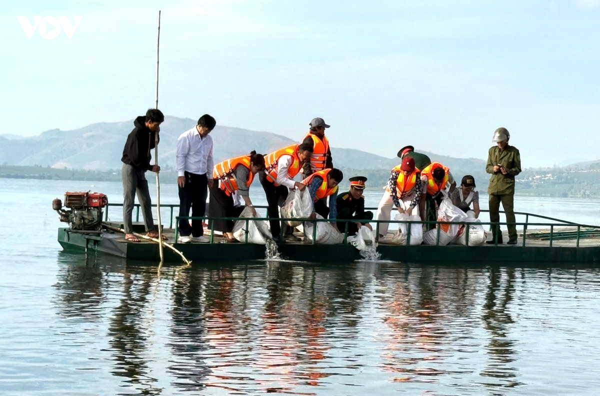 ra quan dau nam gan voi ho tro sinh ke cho dong bao dan toc thieu so o quang ngai hinh anh 1