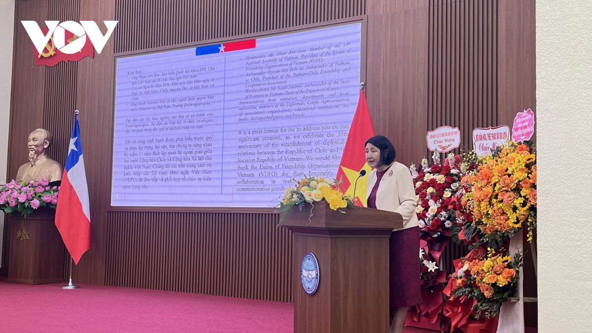 55 nam quan he viet nam - chile hon nua the ky hop tac ben chat hinh anh 3