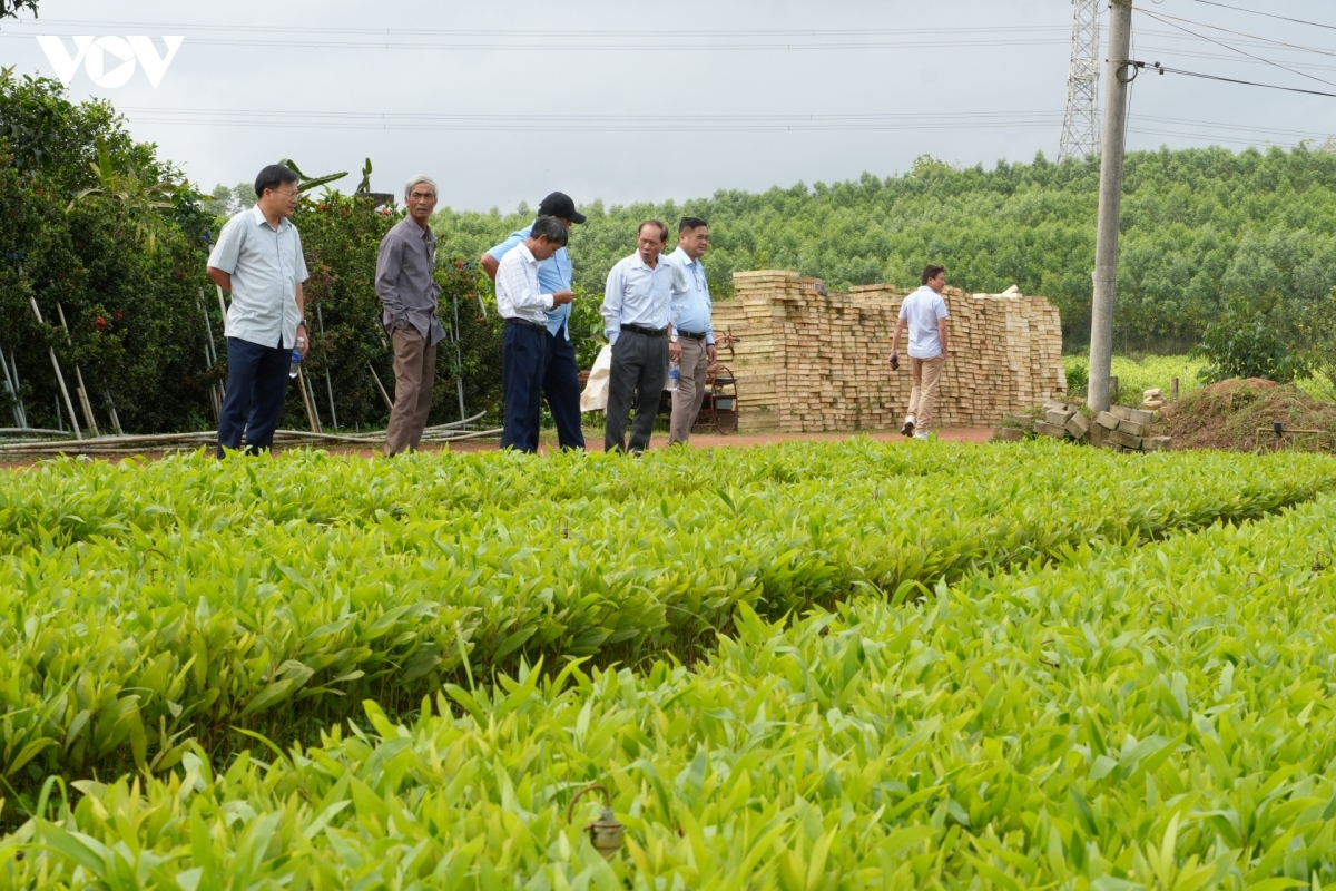 khuyen nong co so phai gan voi ruong dong, phuc vu nhan dan hinh anh 3