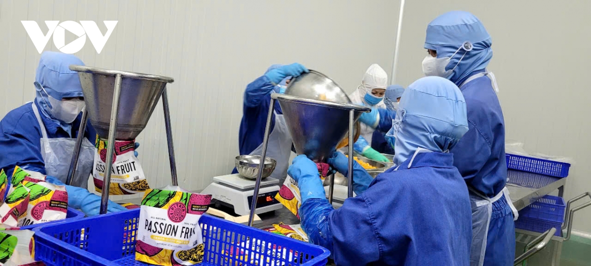 Doanh nghiệp Đồng Tháp nỗ lực giữ nhịp sản xuất trong “bão giá”