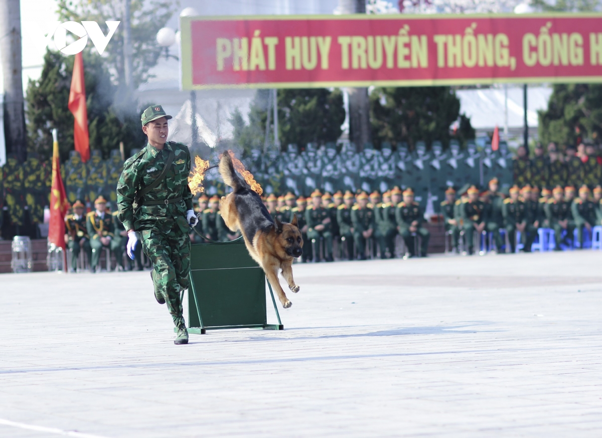 luc luong vu trang Dien bien ra quan huan luyen 2026 day khi the hinh anh 12