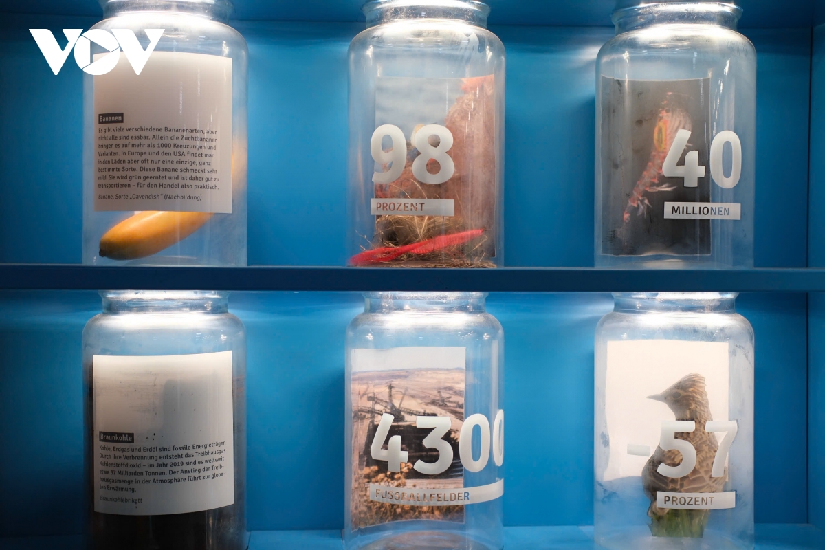 trien lam khoa hoc Duc tai ha noi giai ma vu tru, con nguoi va ai hinh anh 9