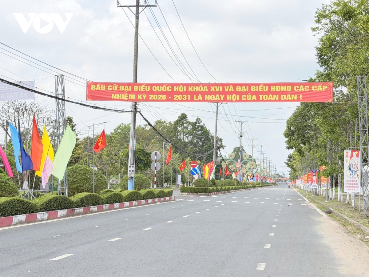 can tho co hoa ruc ro san sang cho ngay hoi non song 15 3 hinh anh 2