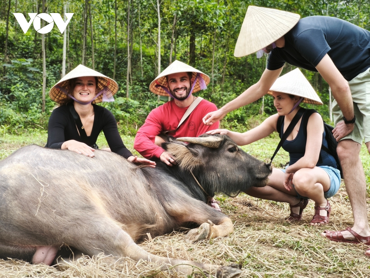 du khach nuoc ngoai thich thu trai nghiem du lich nuoi vit, chan trau, cau ca hinh anh 3