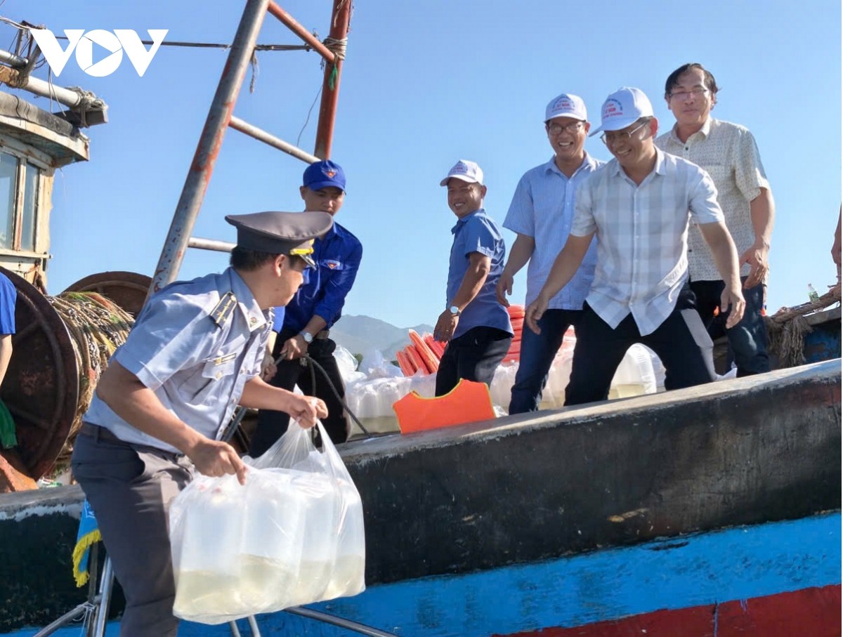 hon 1 trieu con giong cac loai duoc tha tai khu bao ton bien hon cau hinh anh 1