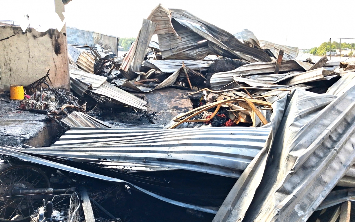 hoa hoan thieu rui day nha ven song tai ca mau hinh anh 1