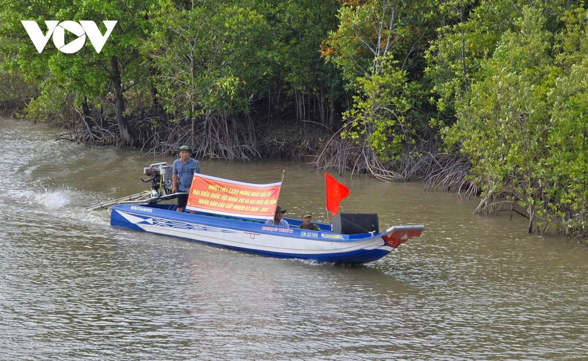ca nuoc nao nuc san sang cho ngay hoi bau cu toan dan vao ngay 15 3 hinh anh 6
