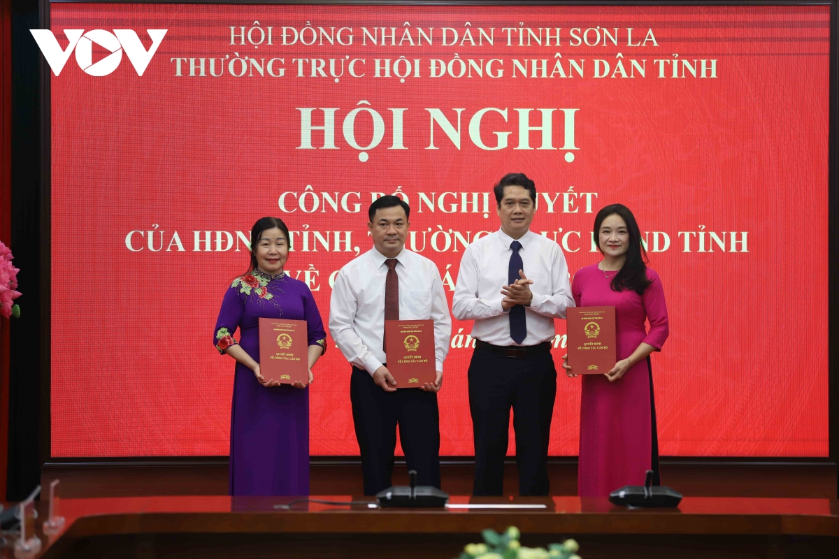 hoi dong nhan dan tinh son la cong bo nghi quyet ve cong tac can bo hinh anh 2
