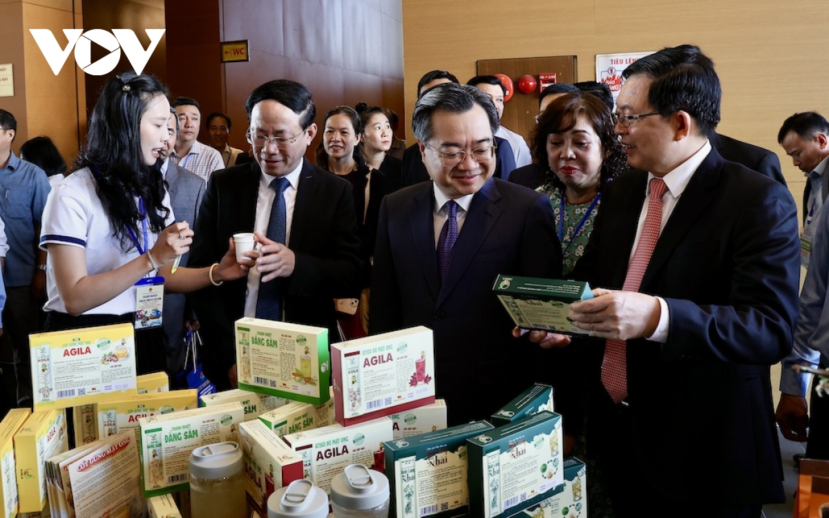 700 doanh nhân dự Hội nghị xúc tiến Đầu tư năm 2026 tại tỉnh Gia Lai