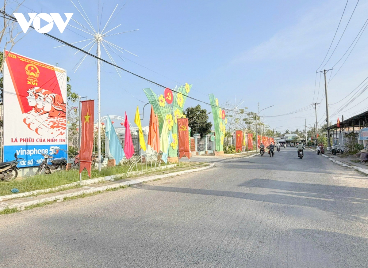 can tho co hoa ruc ro san sang cho ngay hoi non song 15 3 hinh anh 3