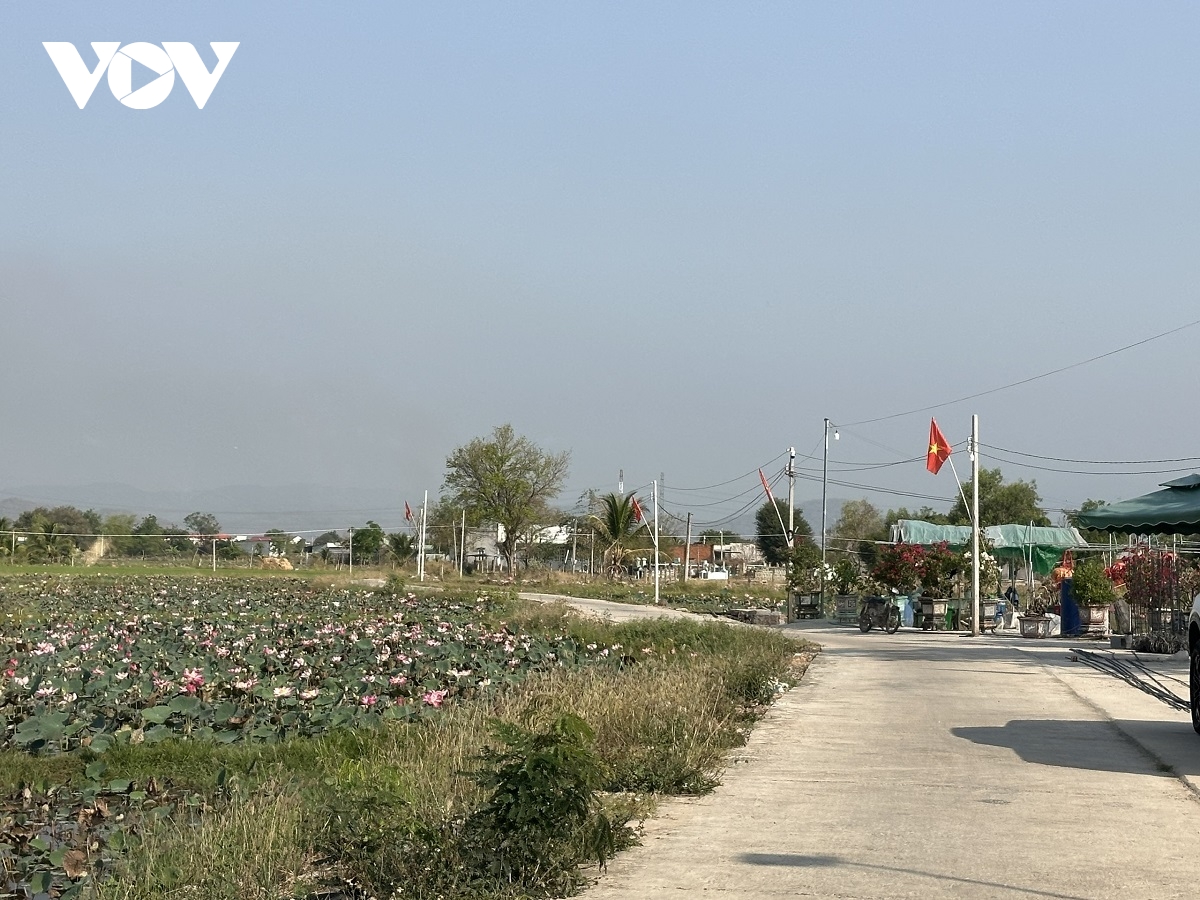 trong sen ket hop lam du lich se tao loi nhuan kep cho nong dan hinh anh 4