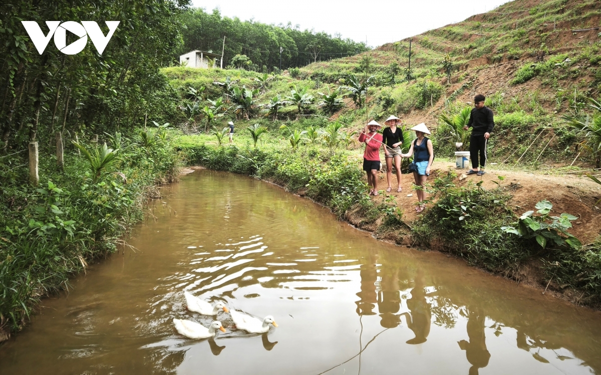 du khach nuoc ngoai thich thu trai nghiem du lich nuoi vit, chan trau, cau ca hinh anh 9