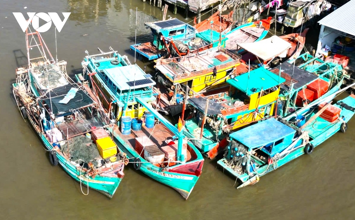 cua bien khanh hoi boi lang ngu dan mua duong ra bien hinh anh 2