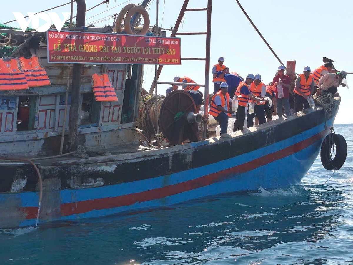 hon 1 trieu con giong cac loai duoc tha tai khu bao ton bien hon cau hinh anh 3