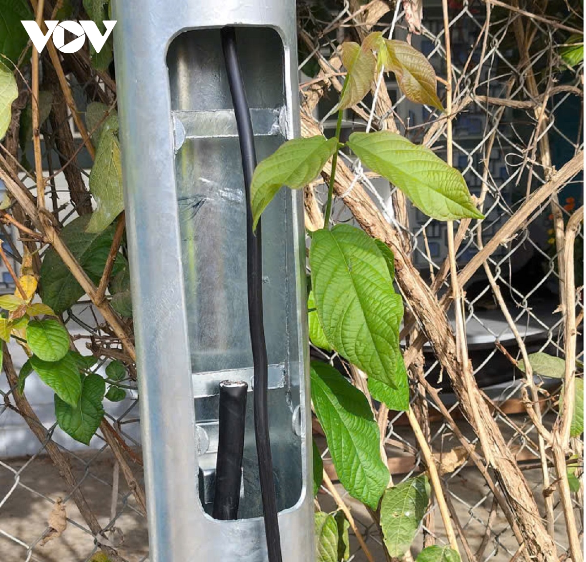 bao dong nan trom cat cap dien den chieu sang vung nong thon lam Dong hinh anh 2