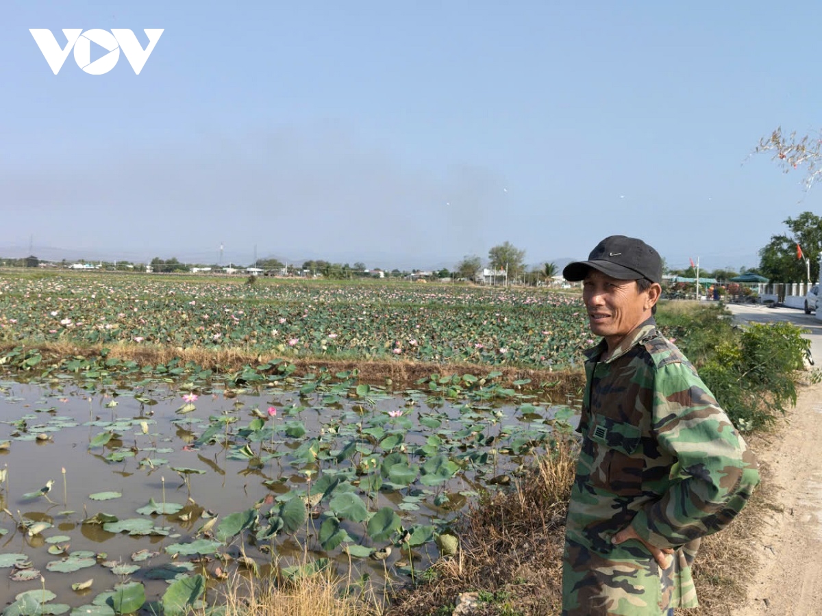 trong sen ket hop lam du lich se tao loi nhuan kep cho nong dan hinh anh 1