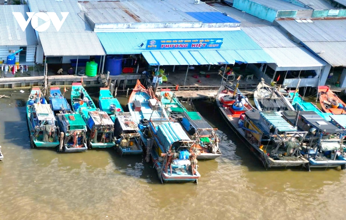 cua bien khanh hoi boi lang ngu dan mua duong ra bien hinh anh 3