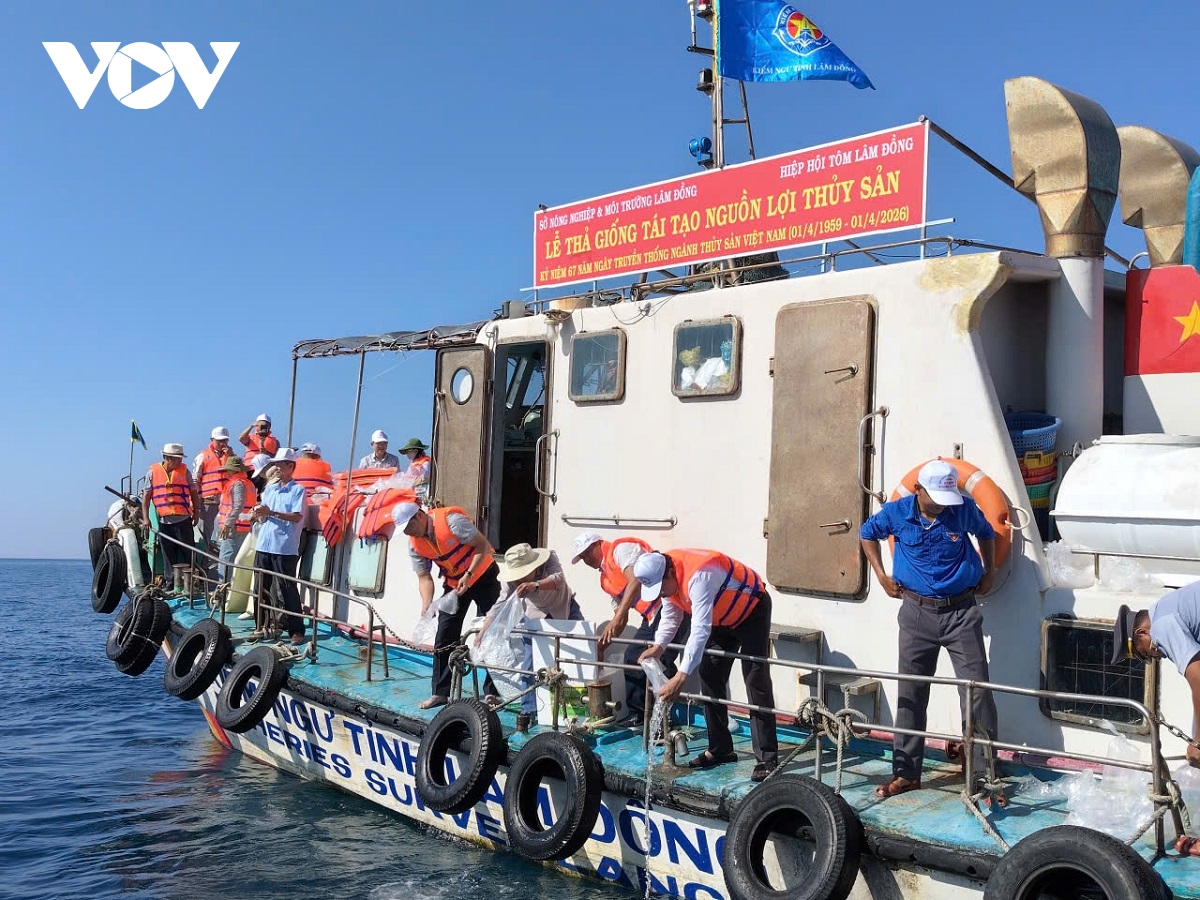 hon 1 trieu con giong cac loai duoc tha tai khu bao ton bien hon cau hinh anh 2