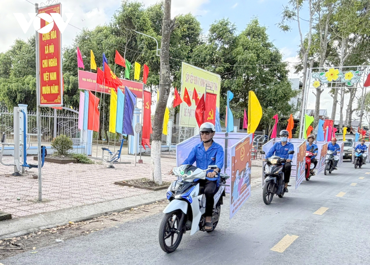 can tho co hoa ruc ro san sang cho ngay hoi non song 15 3 hinh anh 4