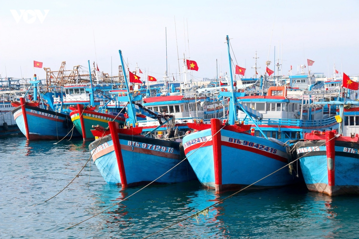 Dac khu phu quy tuyen truyen sau rong den cac chu tau ca ve ngay bau cu hinh anh 4