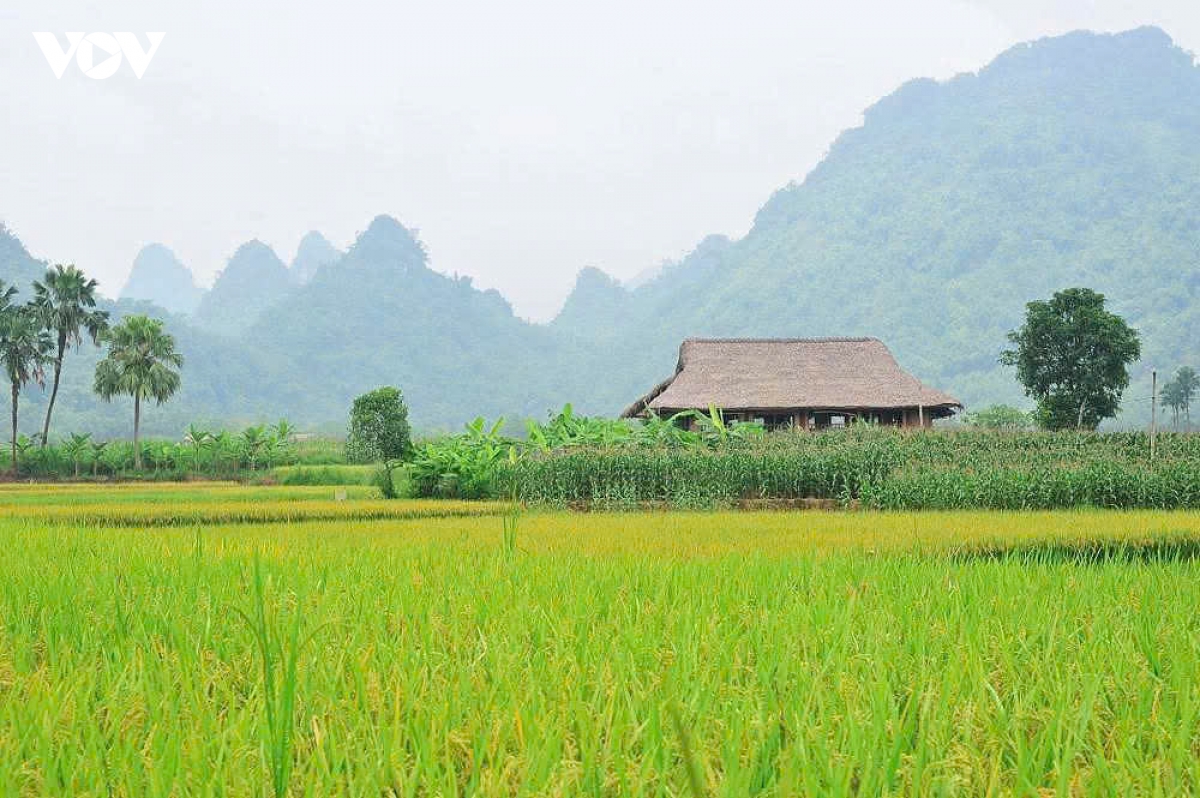 ban sac van hoa, diem nhan de thanh nien lam thuong phat trien du lich hinh anh 14