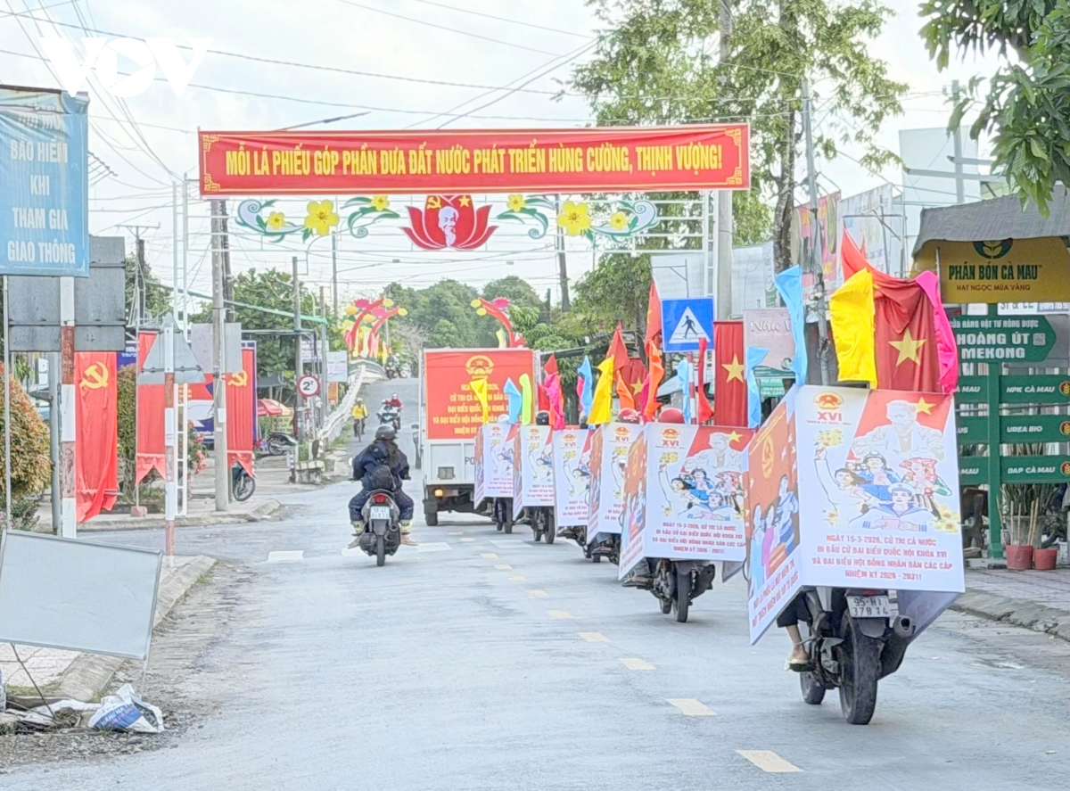 can tho co hoa ruc ro san sang cho ngay hoi non song 15 3 hinh anh 5