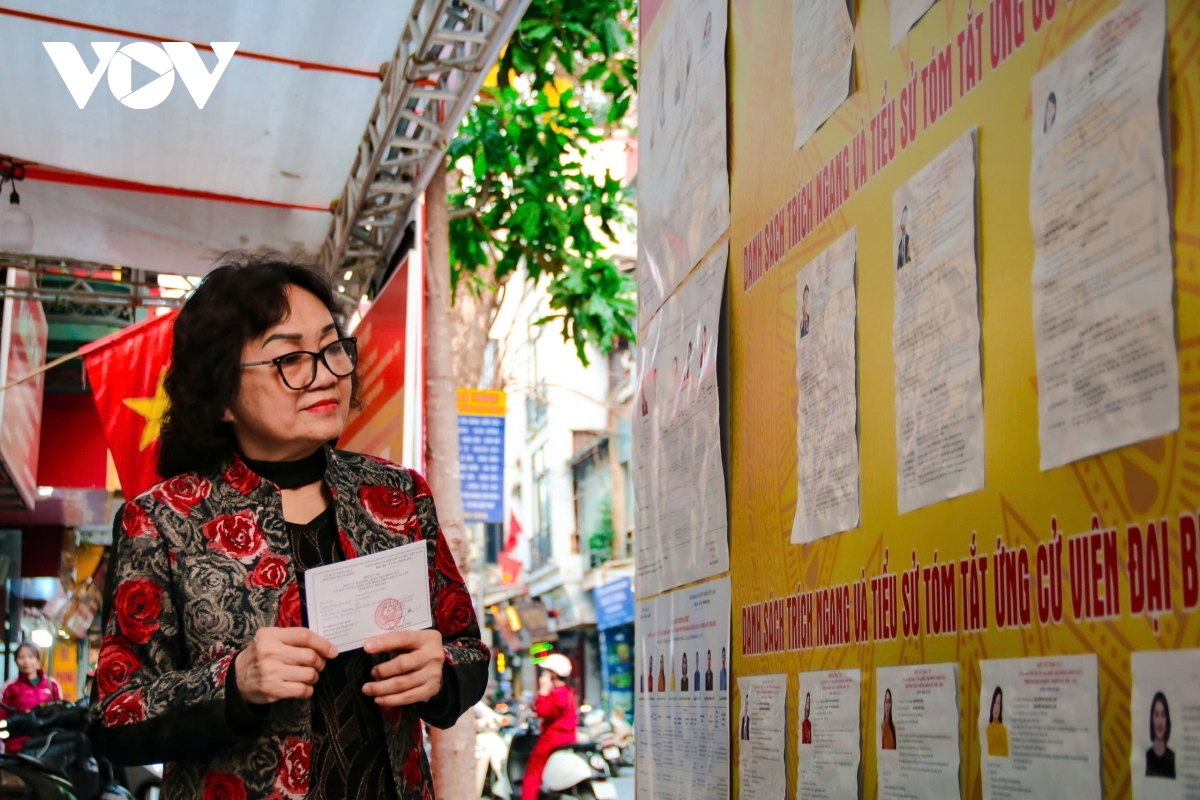 khong gian lich su ha noi ruc ro co hoa truoc ngay bau cu hinh anh 11