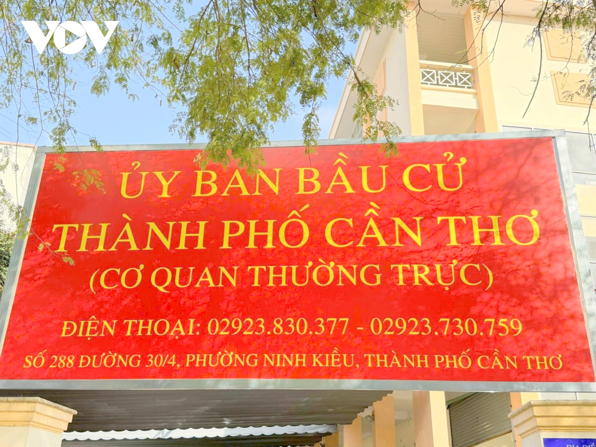 can tho co hoa ruc ro san sang cho ngay hoi non song 15 3 hinh anh 6