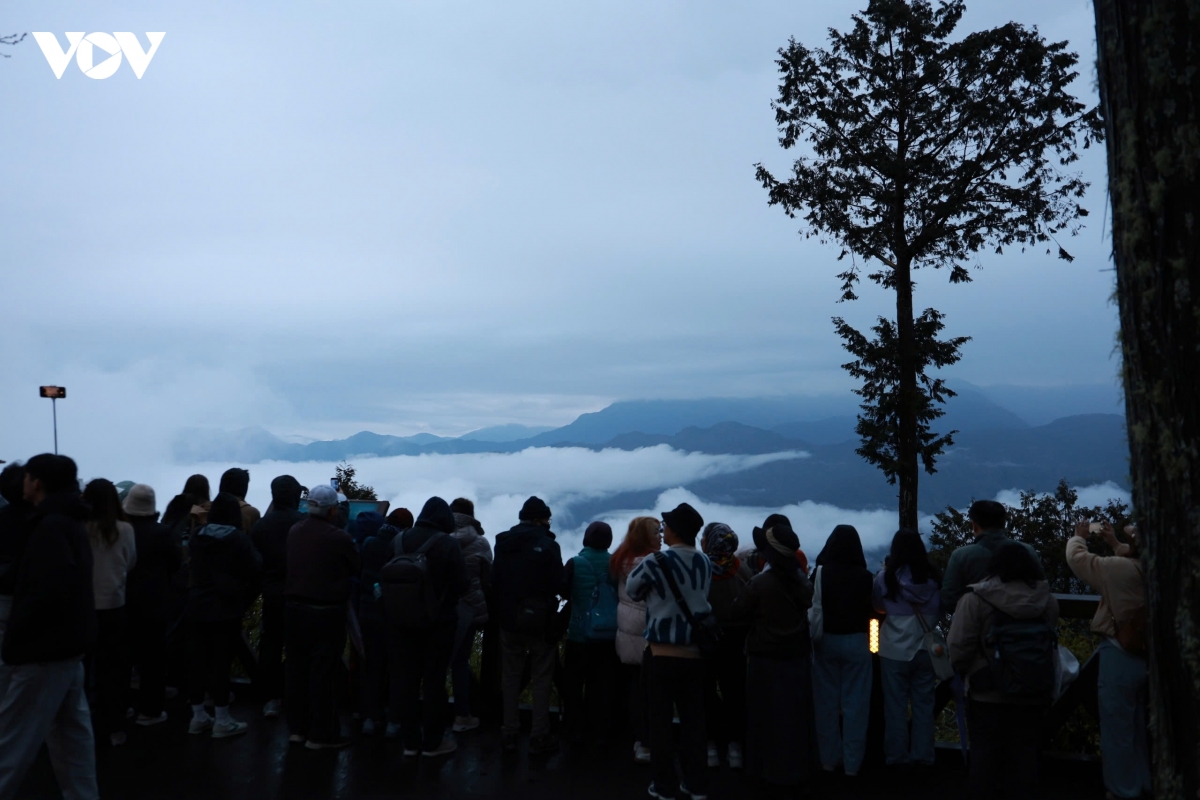 du xuan alishan - lac giua bien may va rung co thu cua Dai loan hinh anh 9