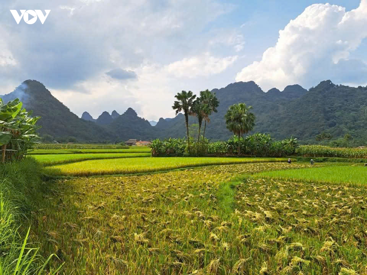 ban sac van hoa, diem nhan de thanh nien lam thuong phat trien du lich hinh anh 13