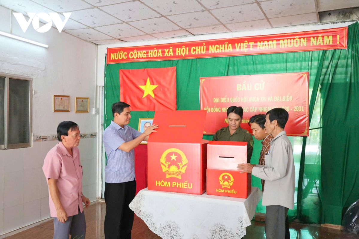 can tho co hoa ruc ro san sang cho ngay hoi non song 15 3 hinh anh 7