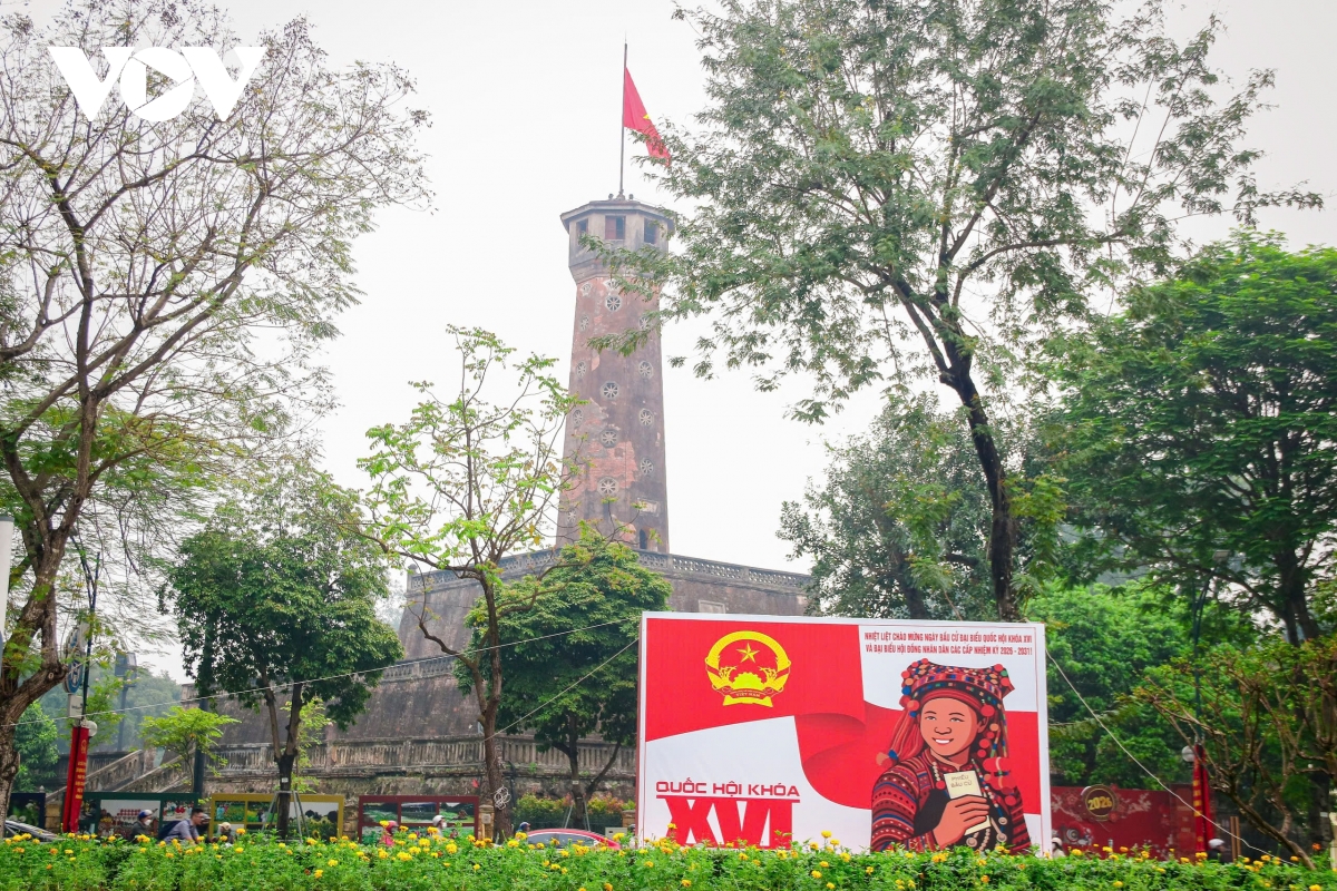 khong gian lich su ha noi ruc ro co hoa truoc ngay bau cu hinh anh 7