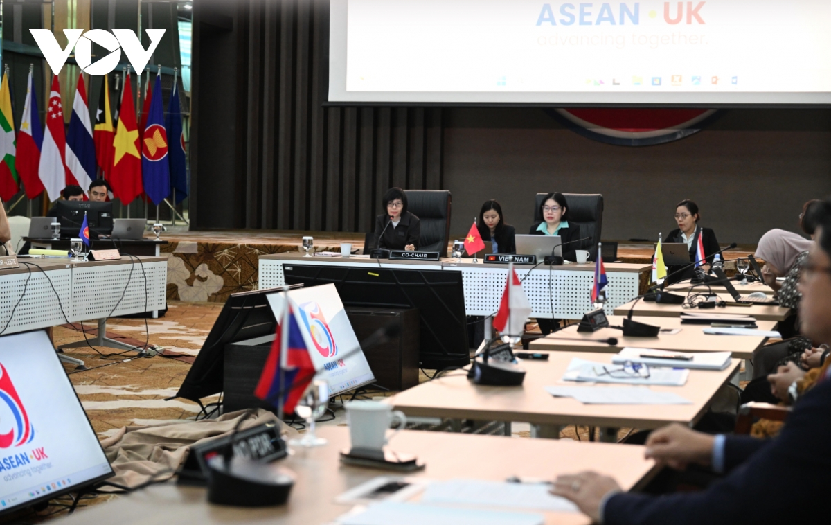 vietnam co-chairs 5th asean uk joint cooperation committee meeting picture 1
