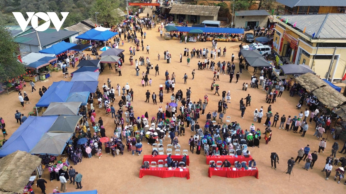 sac hoa son tra thu hut du khach ve nam nghep, son la hinh anh 3