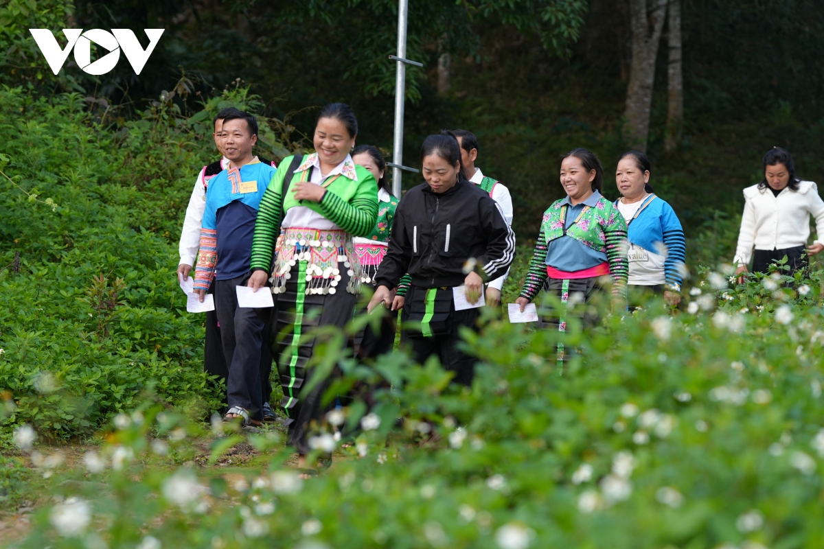 ruc ro sac mau bau cu vung bien thanh hoa cu tri gui tron niem tin vao la phieu hinh anh 1