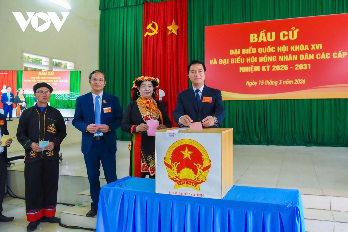 bac ninh chu dong thich ung, to chuc hieu qua bau cu hinh anh 1